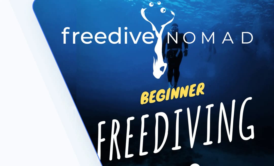Freediving student reviews showcasing feedback and experiences