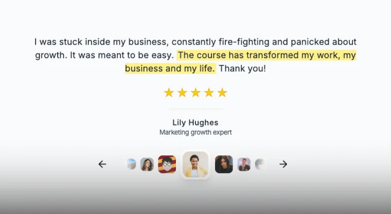 Single Review Slider Widgets by Feedspace