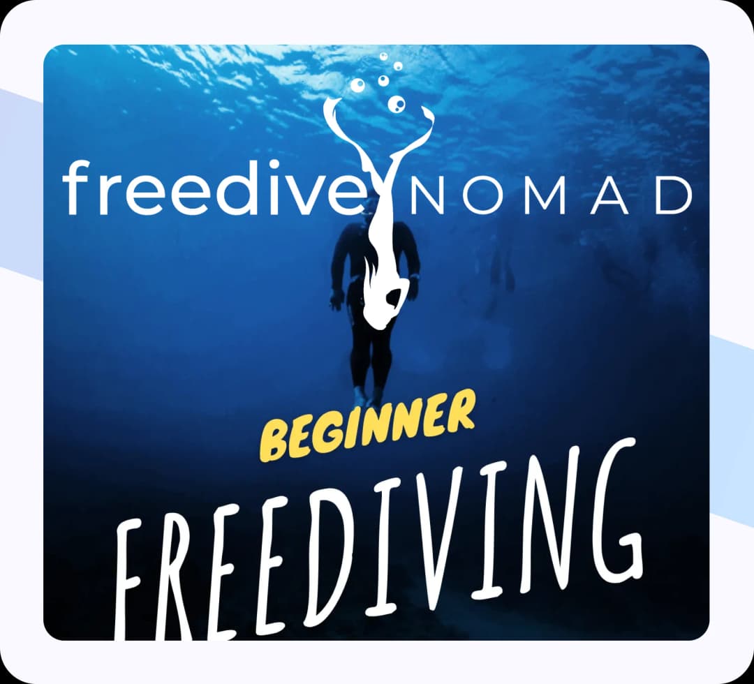 Taiwan freedive course by Freedive Nomad for all skill levels