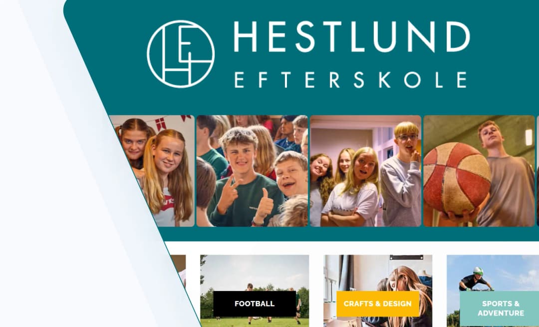 Hestlund case study title 