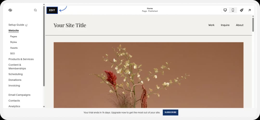 Edit option in Squarespace