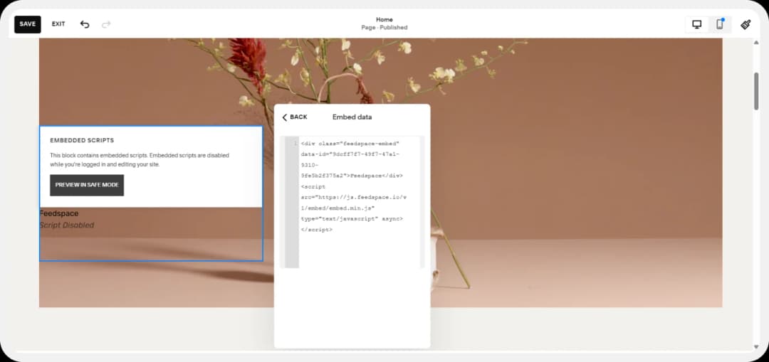 Paste review form script code into Squarespace embed