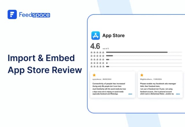 How to Embed App Store Reviews on Your Website?