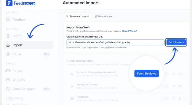 Paste the Facebook page URL and click Fetch Reviews